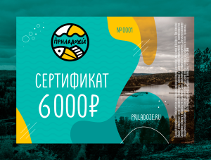 Электронный подарочный сертификат (номинал 6000 ₽)