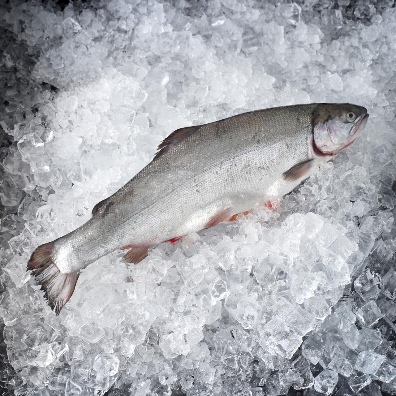 ИНТЕРНЕТ-МАГАЗИН