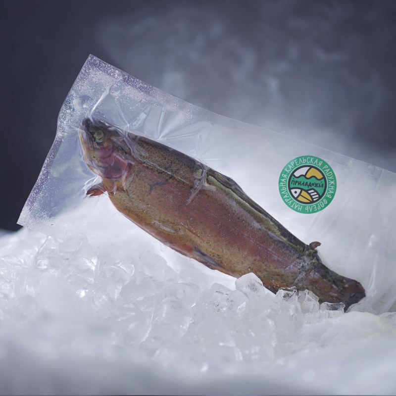 Ice_013